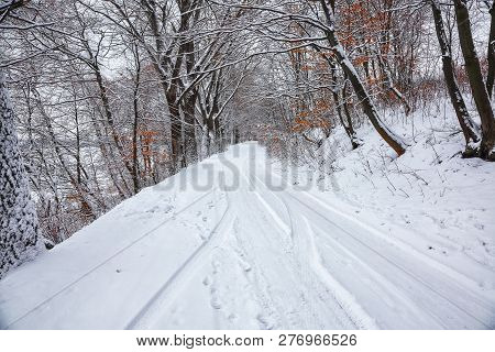 Silence On A Winter Road In The Forest. Lots Of Snow In Winter Time