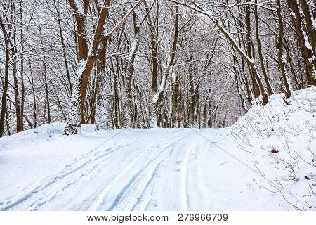 Silence On A Winter Road In The Forest. Lots Of Snow In Winter Time