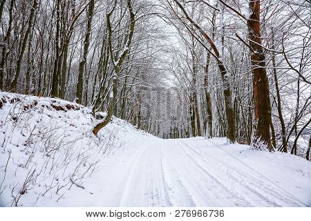 Silence On A Winter Road In The Forest. Lots Of Snow In Winter Time