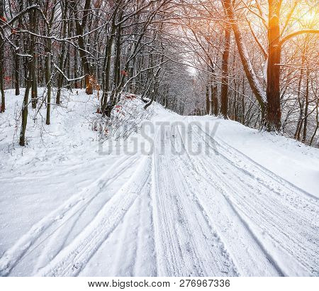 Silence On A Winter Road In The Forest. Lots Of Snow In Winter Time