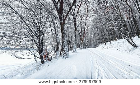 Silence On A Winter Road In The Forest. Lots Of Snow In Winter Time