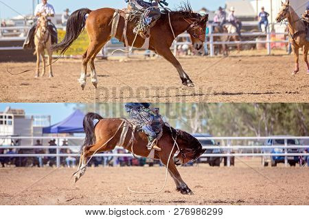 Collage Of Cowboy And Horse Competing In Bucking Saddle Bronc Event At Country Rodeo