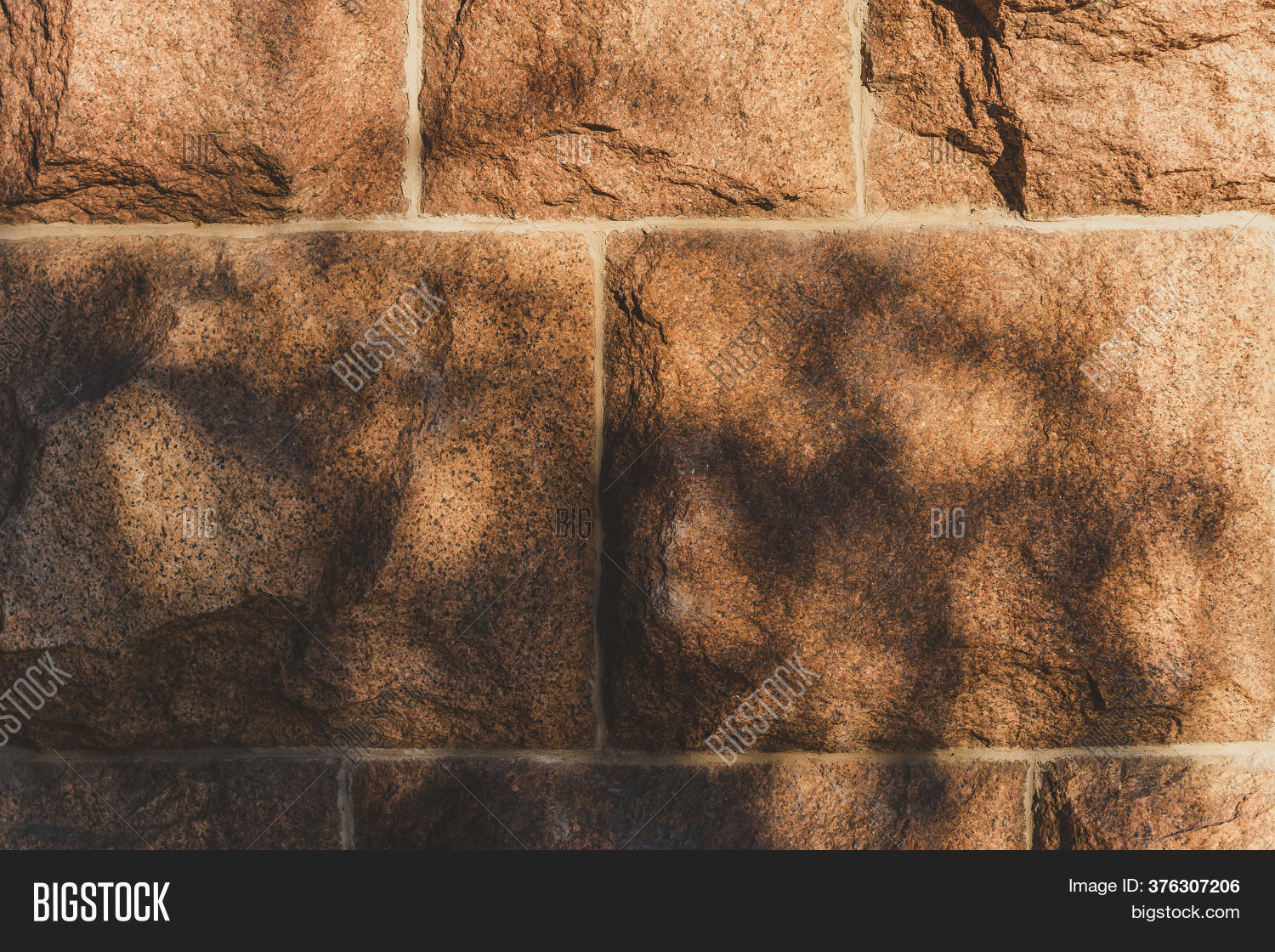 Shadow Tree On Wall. Image & Photo (Free Trial) | Bigstock