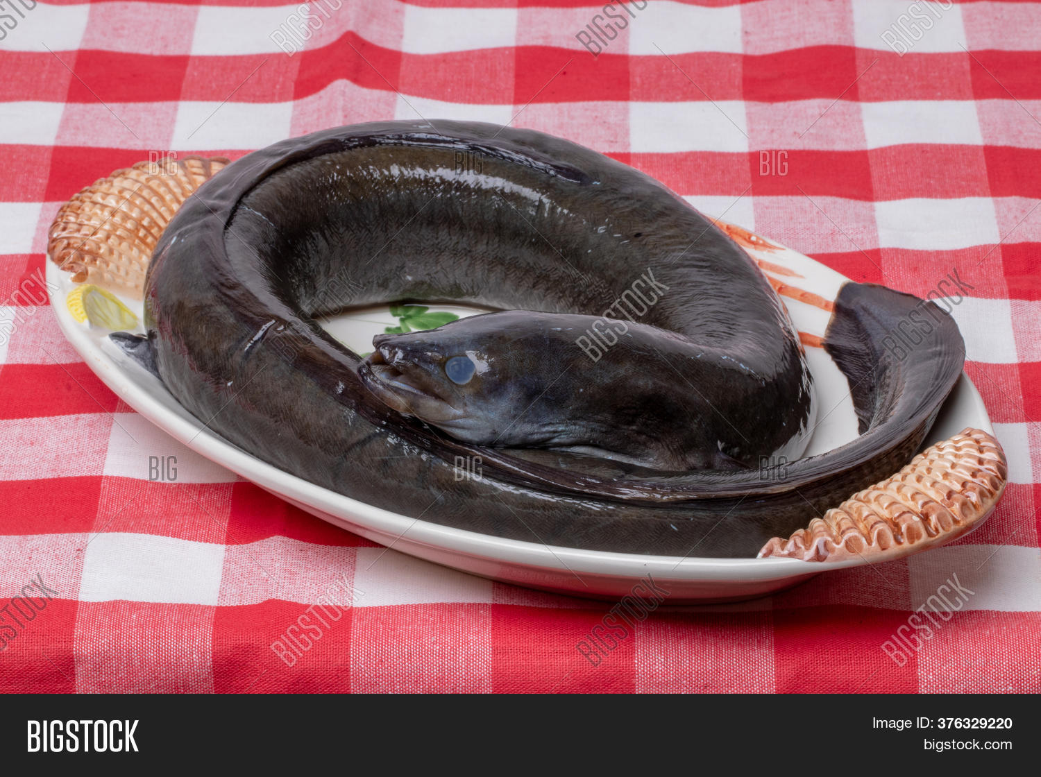 Raw Eel. Close Fresh Image & Photo (Free Trial) Bigstock
