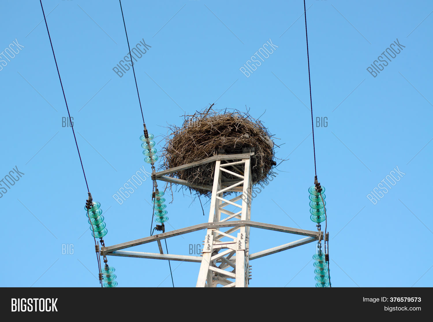 Stork Nest On Power Image & Photo (Free Trial) Bigstock