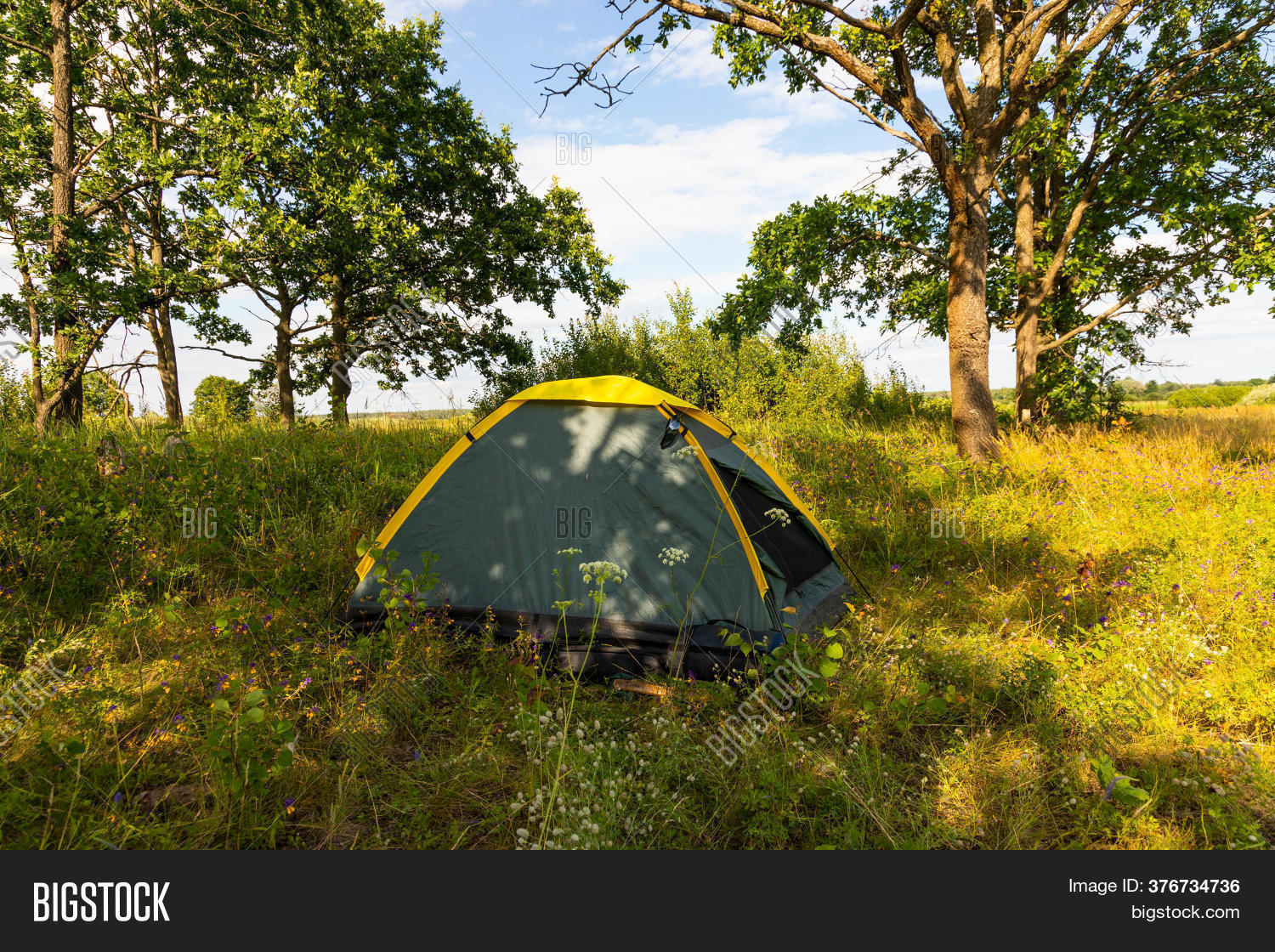 Tourist Tent Forest Image & Photo (Free Trial) Bigstock