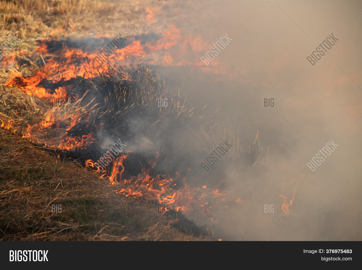 Agricultural Waste Image & Photo (Free Trial) Bigstock