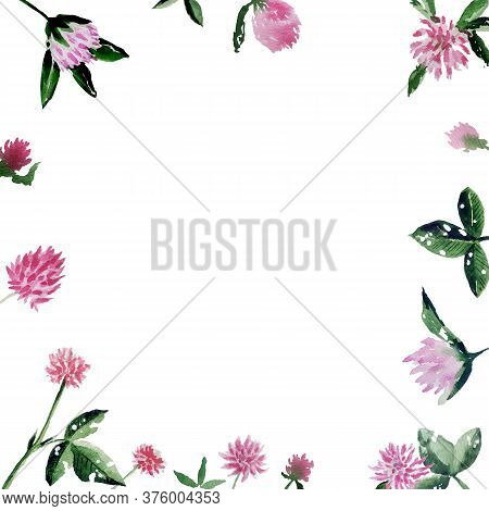 Hand Drawn Illustration. Template With Clower Flowers And Leaves On White Background. Watercolor Ill
