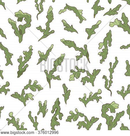 Seamless Beauty Vector Pattern With Green Algae
