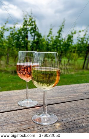 Tasting Of Dutch Rose And Dry White Wine On Vineyard In Summer