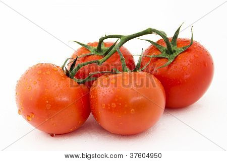 Tomatoes