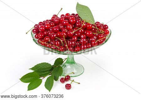 Freshly Picked Sour Cherries In The Vintage Green Glass Vase For Fruits On The Leg And Leaves Of Che