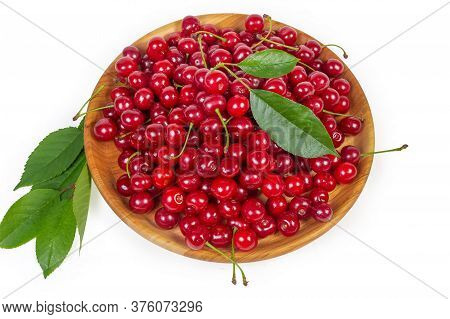 Freshly Picked Sour Cherries On The Rustic Wooden Dish And Leaves Of Cherry Tree On A White Backgrou