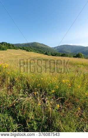 High Plain Plateau Of Dubasnica Mountain, Part Of Kucaj Mountain Range In The Eastern Serbia Near Th