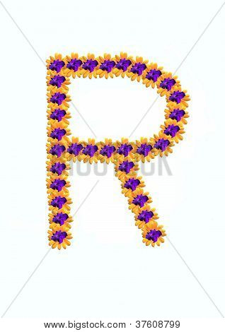 der Buchstabe R