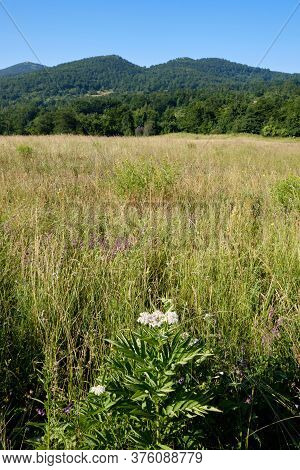 High Plain Plateau Of Dubasnica Mountain In Eastern Serbia Near The City Of Bor