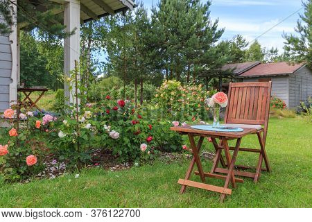 Romantic Sitting Area In The Rose Garden, Round Wooden Table And Chairs Near The Large Flowering Bus