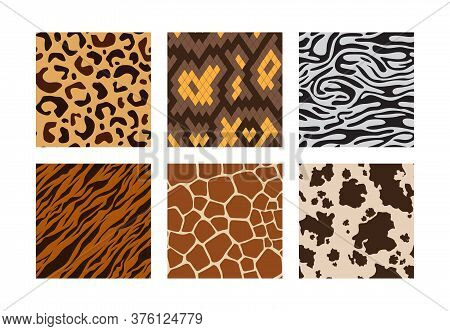Animal Skins. Pattern Of African Jungle Animals Leopard Tiger Zebra Giraffe Vector Seamless Backgrou