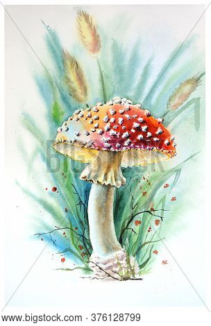 Watercolor Drawing Of A Sun Fly Agaric In The Grass. Fly Agaric.