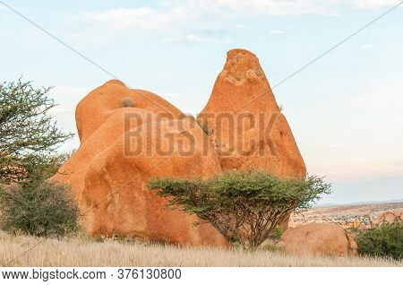 A View Of Granite Boulders And A Tree At The Greater Spitzkoppe