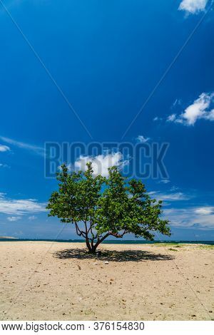 Jerman beach in Bali indonesia