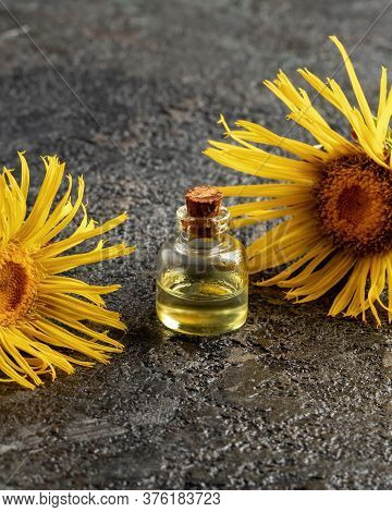A Bottle Of Elecampane Essential Oil With Fresh Inula Helenium Flowers, With Copy Space