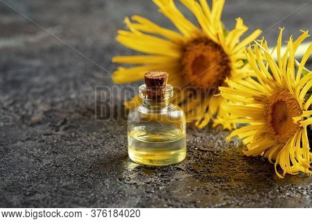 A Bottle Of Elecampane Essential Oil With Blooming Inula Helenium Plant