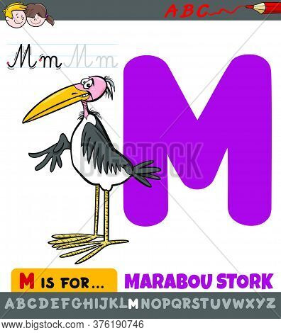 Educational Cartoon Illustration Of Letter M From Alphabet With Marabou Stork Animal Character For C