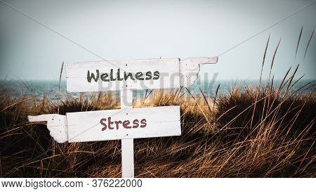 Street Sign The Direction Way To Wellness Versus Stress