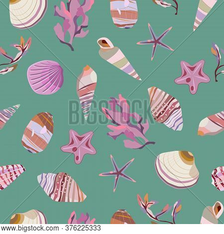 Seamless Vector Color Pattern With Shells. Hand Drawn мarine Background. Suitable For Greetings, Inv