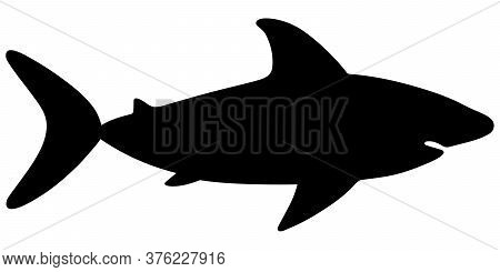 Shark. Large Predatory Sea Fish. Silhouette. Vector Stock Illustration. White Isolated Background. F