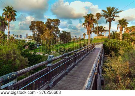 Picturesque bridge over a ravine. Evening twilight over Old Jaffa. Palm trees on the hill 