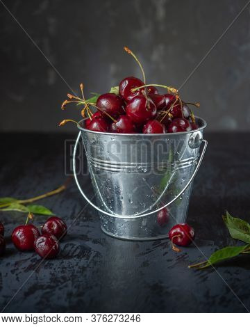 A Bucket Of Cherries On A Dark Background. Berries And Leaves Of Scheresh Are Scattered Around A Tin