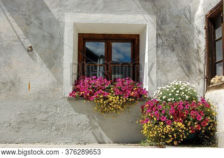 Closeup Of An Old Wooden Window With Purple Petunia Flowers, Ancient Village Of Zuoz, Tourist Resort