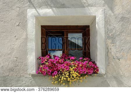 Closeup Of An Old Wooden Window With Purple Petunia Flowers, Ancient Village Of Zuoz, Tourist Resort