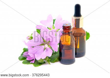 A Bottles Of Mallow Essential Oil And Extract With Fresh Blooming Malva Sylvestris Plant. Isolated O