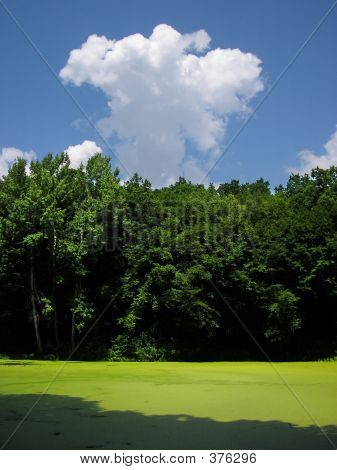 eine alte Teich in der ukraine