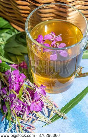 Traditional Russian Herbal Drink Ivan Tea In A Transparent Cup. Close-up, Leaves Of Ivan Tea, Firewe