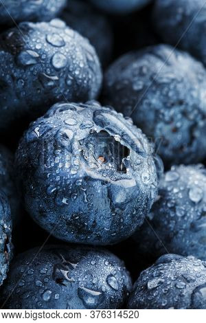Blueberries Close-up In Full Screen With Dew Drops.