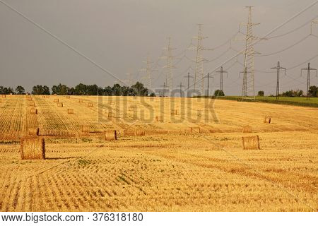 Fields Of Dry Ripe Wheat Against The Background Of Metal Pylons Of Electric Wires