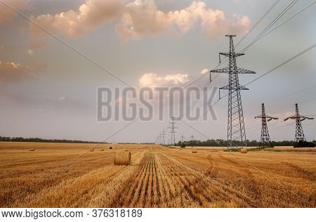 Fields Of Dry Ripe Wheat Against The Background Of Metal Pylons Of Electric Wires