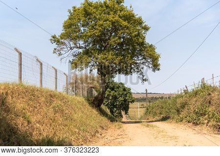 Countryside Landscape. There Are Varied Concepts About What Is Inland Brazil. Officially The Term In