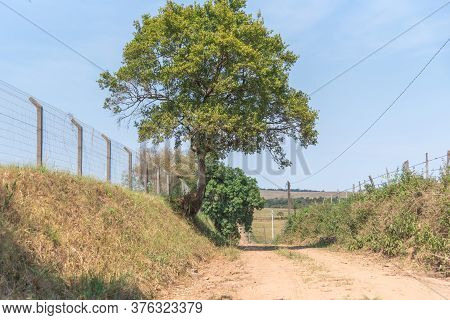 Countryside Landscape. There Are Varied Concepts About What Is Inland Brazil. Officially The Term In