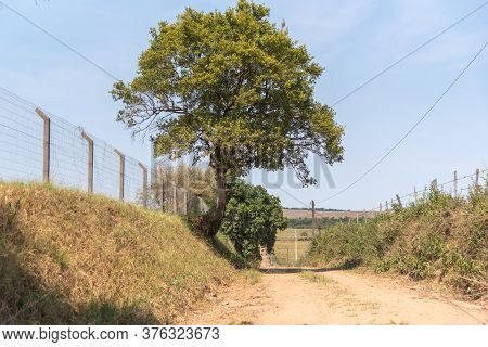 Countryside Landscape. There Are Varied Concepts About What Is Inland Brazil. Officially The Term In