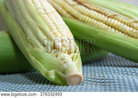 Corn Cobs (zea Mays) Collected And Processed For Cooking