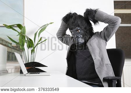 Angry young man in gorilla mask looking at laptop at office
