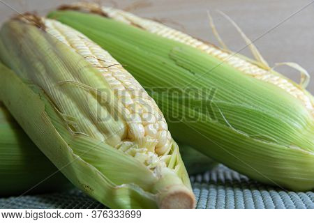 Corn Cobs (zea Mays) Collected And Processed For Cooking
