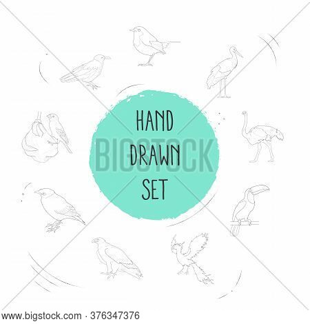 Set Of Fowl Icons Line Style Symbols With Phoenix, Ostrich, Eagle And Other Icons For Your Web Mobil