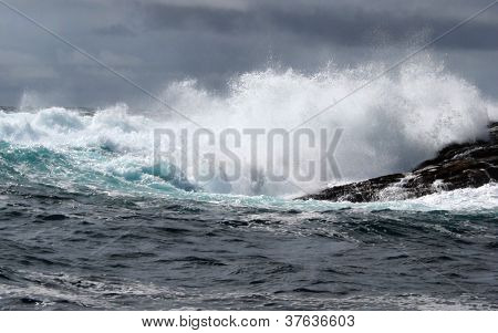 Scavare Wave