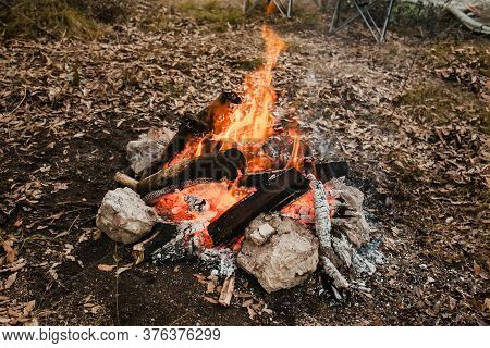 Campfire And Camping In A Forest In America